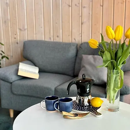 W Stylu Stodoly * Narty